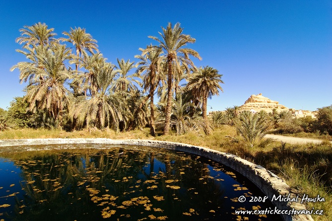 02 Egypt oazy Siwa nadrze na vodu je mozna i koupel.jpg