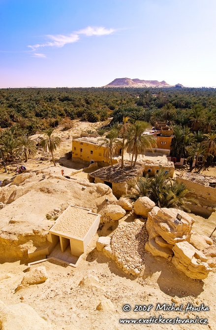 21 Egypt oazy Siwa palmova zahrada v pozadi hora Dzabal Dakrur.jpg